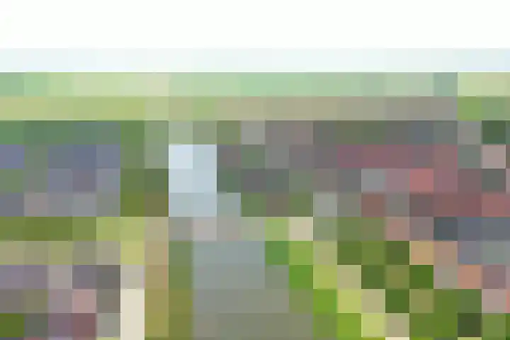 De Ontmoeting 48 Dronten thumbnail 41