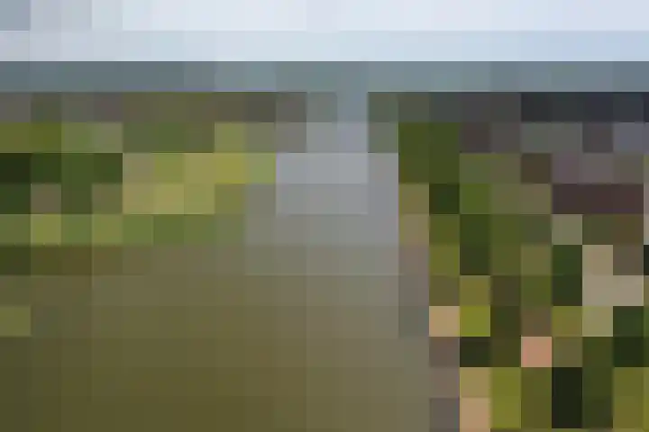 De Ontmoeting 48 Dronten thumbnail 42