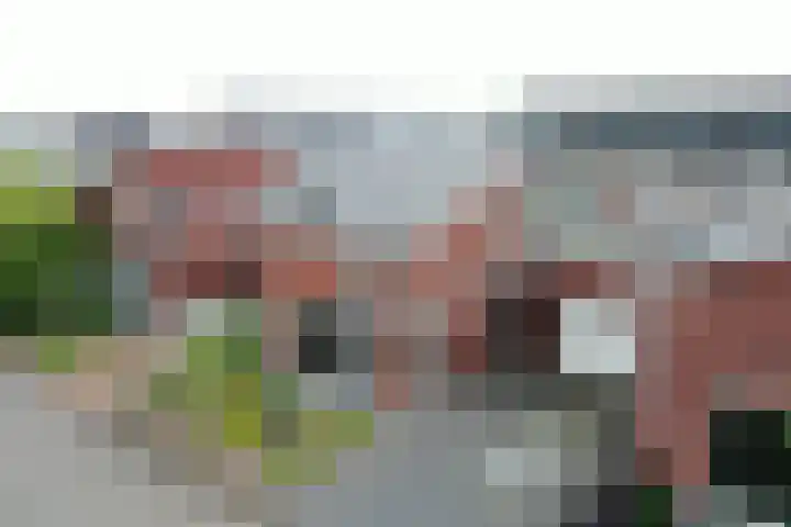 De Ontmoeting 48 Dronten thumbnail 8