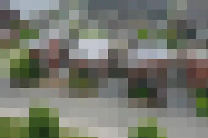 De Ontmoeting 48 Dronten thumbnail 9