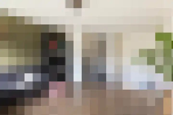 De Ontvangst 106 Apeldoorn thumbnail 11