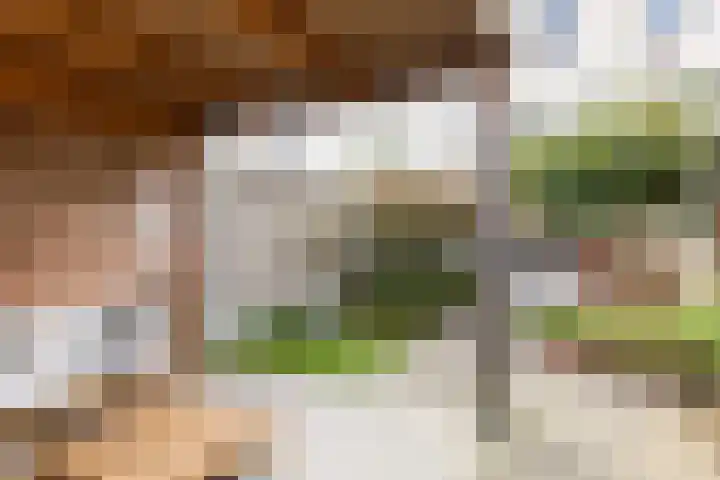 De Ontvangst 106 Apeldoorn thumbnail 24