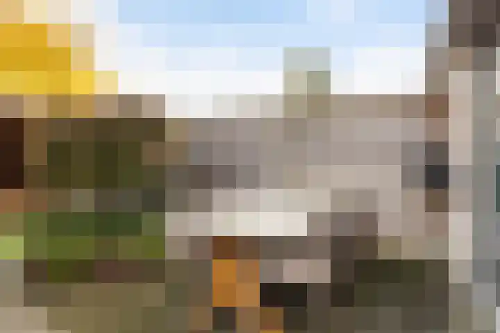 De Ontvangst 106 Apeldoorn thumbnail 25