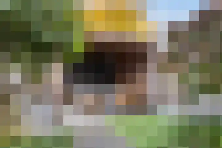 De Ontvangst 106 Apeldoorn thumbnail 4