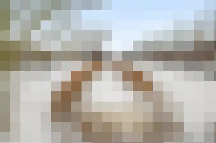 De Ontvangst 122 Apeldoorn thumbnail 33