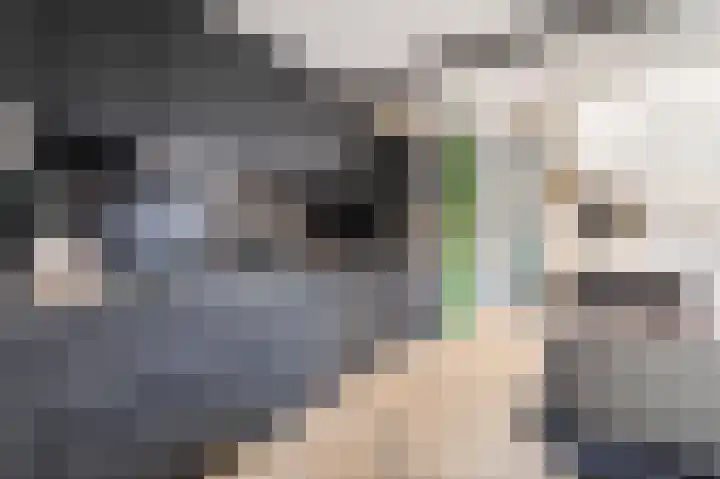 De Ontvangst 125 Apeldoorn thumbnail 5