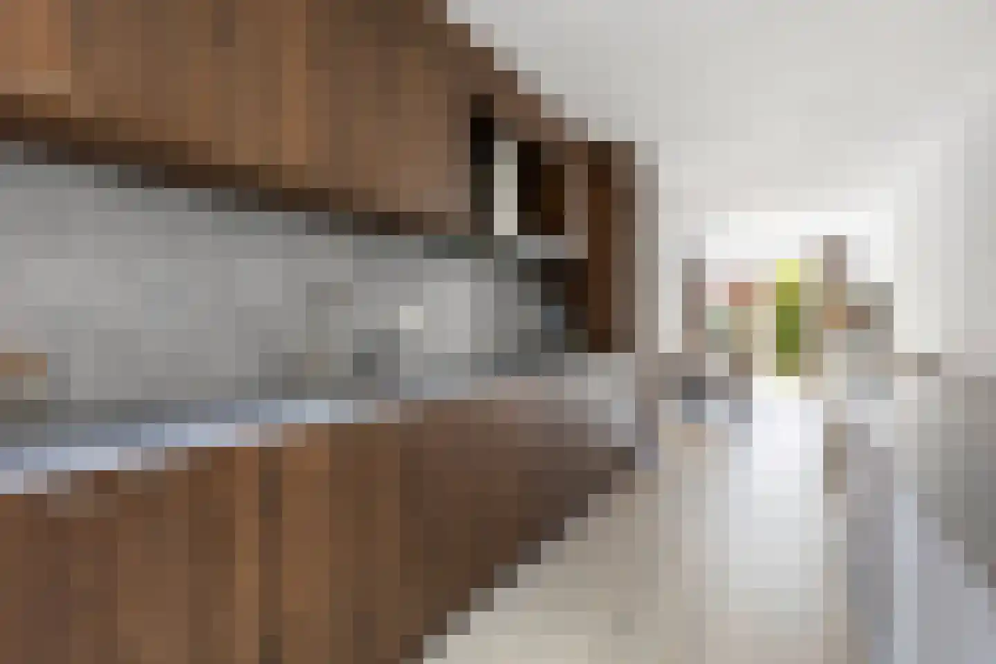 De Ontvangst 131 Apeldoorn thumbnail 16