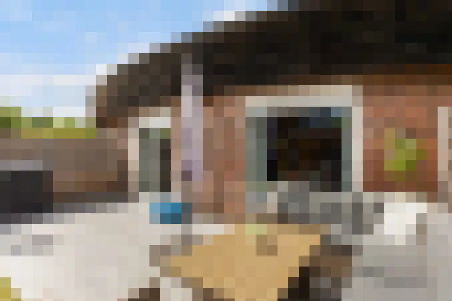 De Ontvangst 131 Apeldoorn thumbnail 18