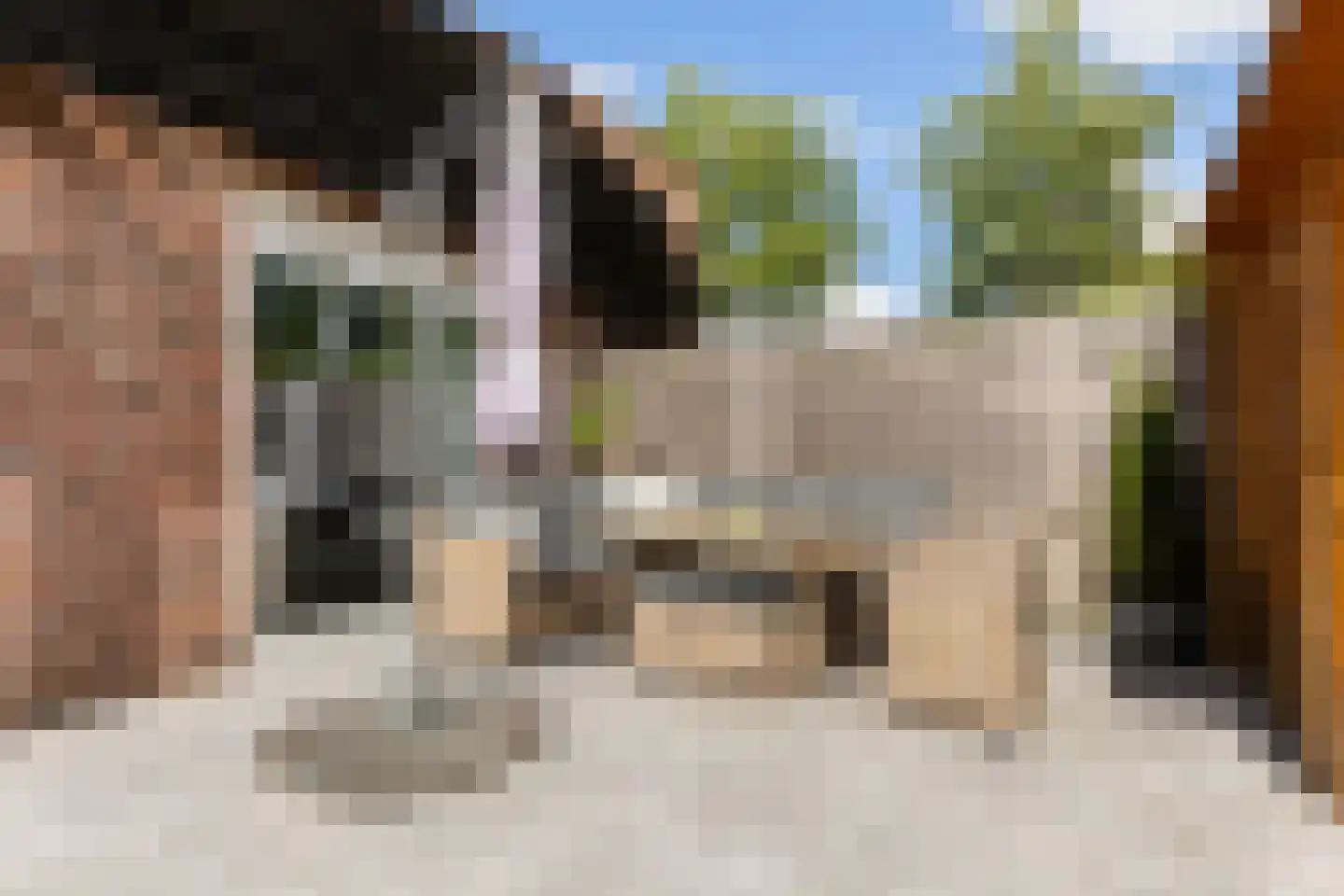 De Ontvangst 131 Apeldoorn thumbnail 19