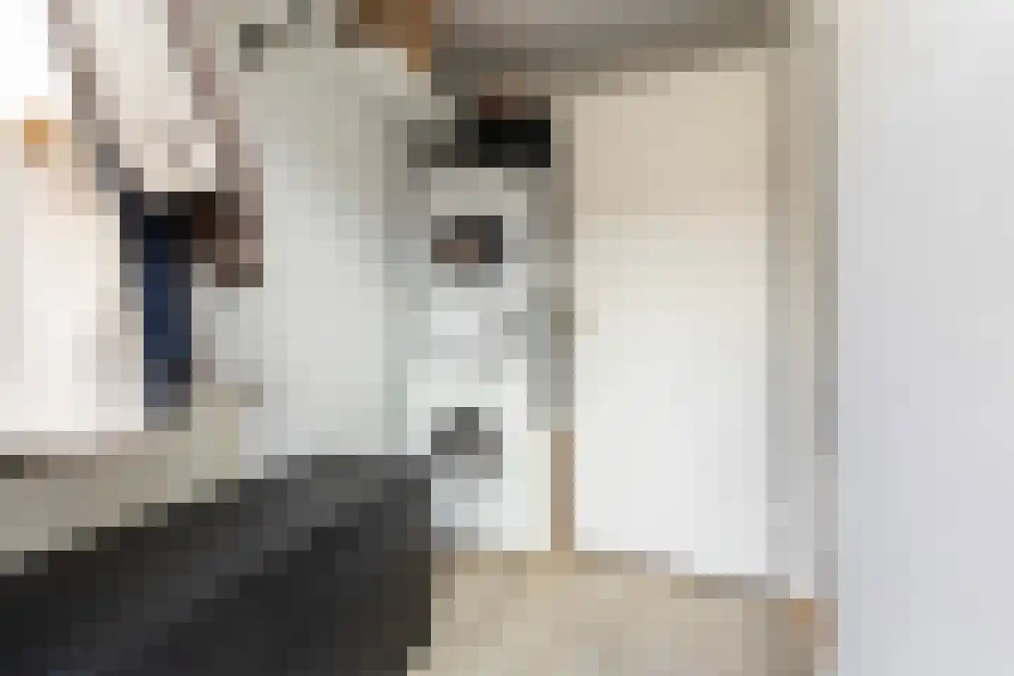 De Ontvangst 131 Apeldoorn thumbnail 23