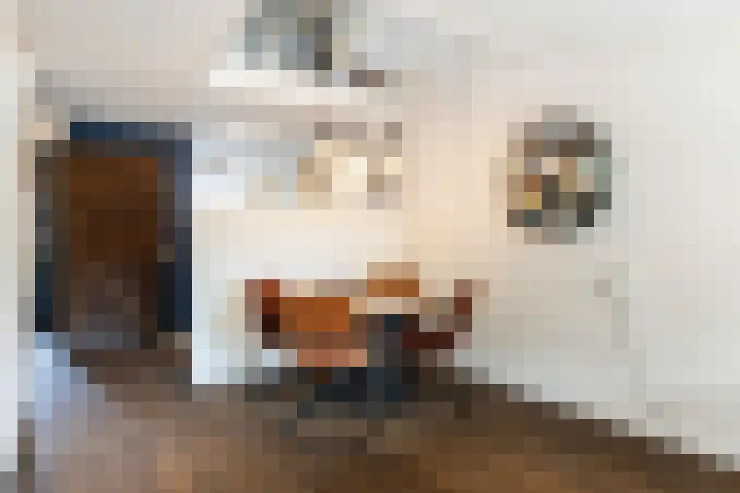 De Ontvangst 32 Apeldoorn thumbnail 13