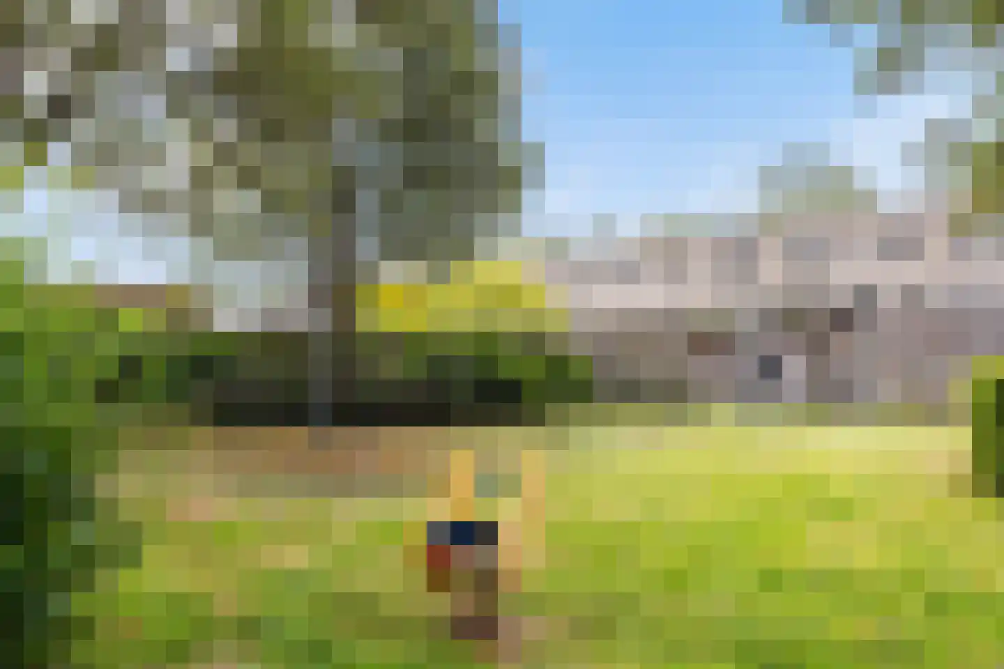 De Ontvangst 32 Apeldoorn thumbnail 7