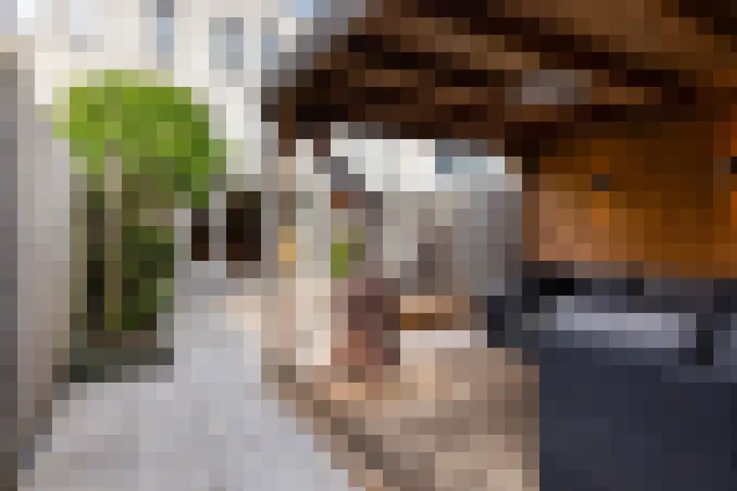 De Ontvangst 32 Apeldoorn thumbnail 9