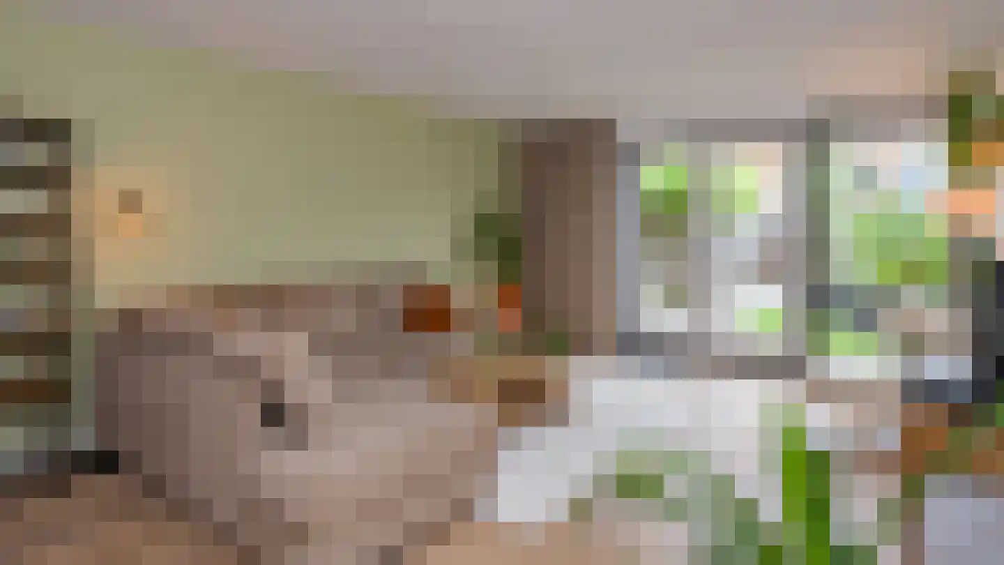 De Ontvangst 82 Apeldoorn thumbnail 13