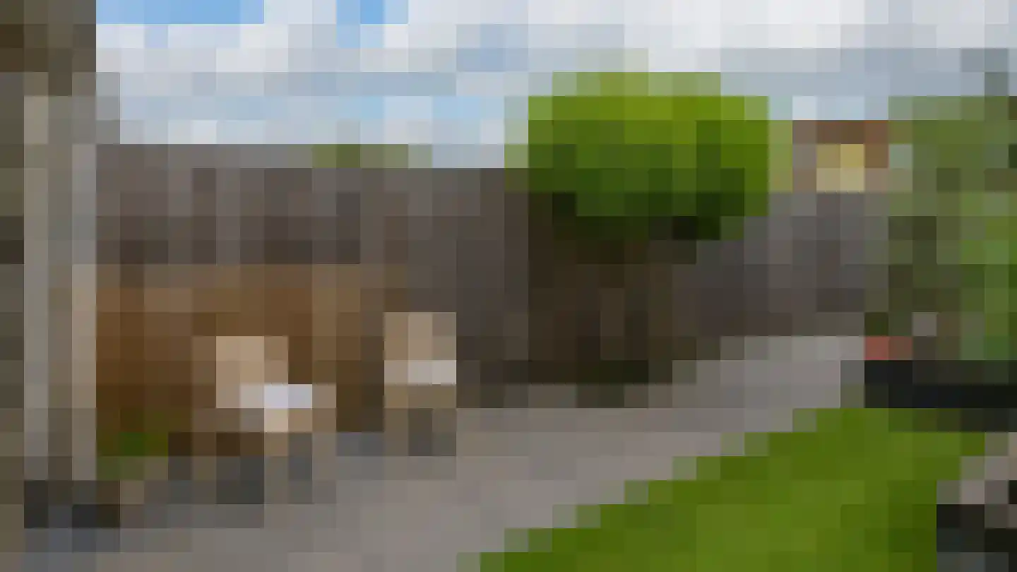 De Ontvangst 82 Apeldoorn thumbnail 23