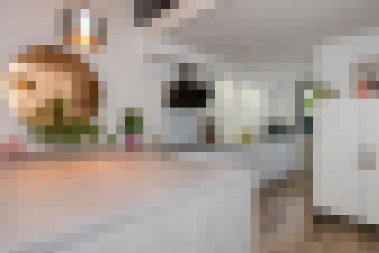 De Ontvangst 82 Apeldoorn thumbnail 4
