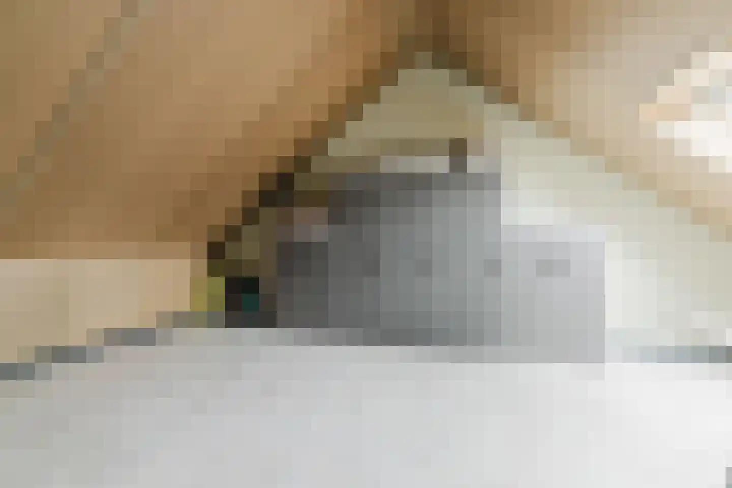 De Oogst 6 Zundert thumbnail 29