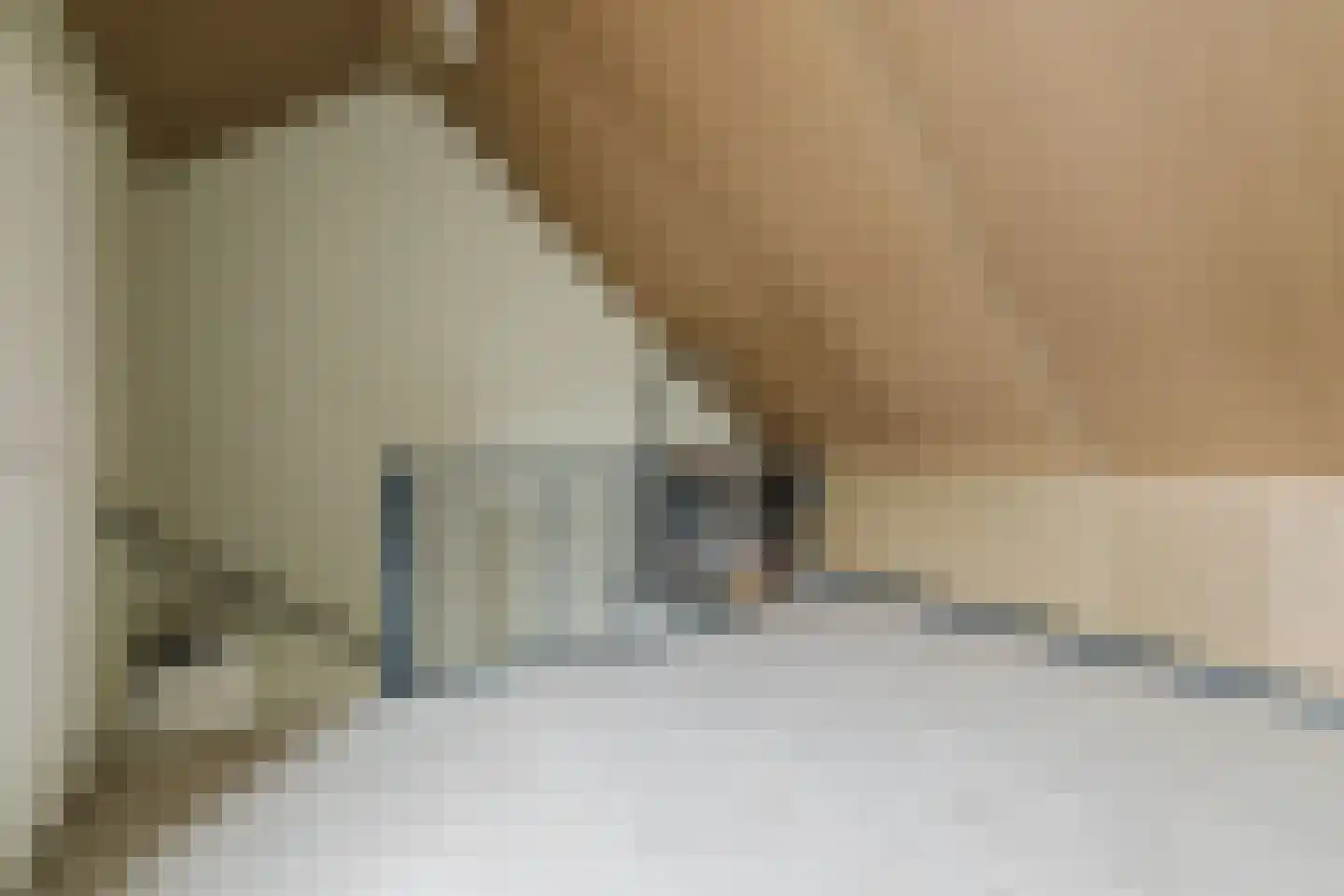 De Oogst 6 Zundert thumbnail 31