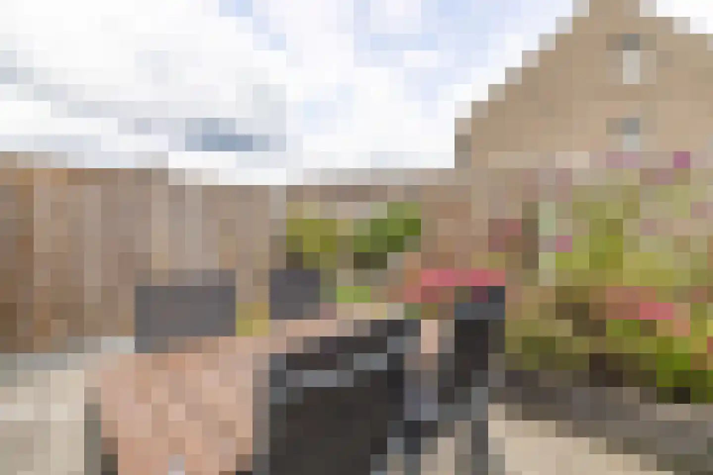 De Oogst 6 Zundert thumbnail 32
