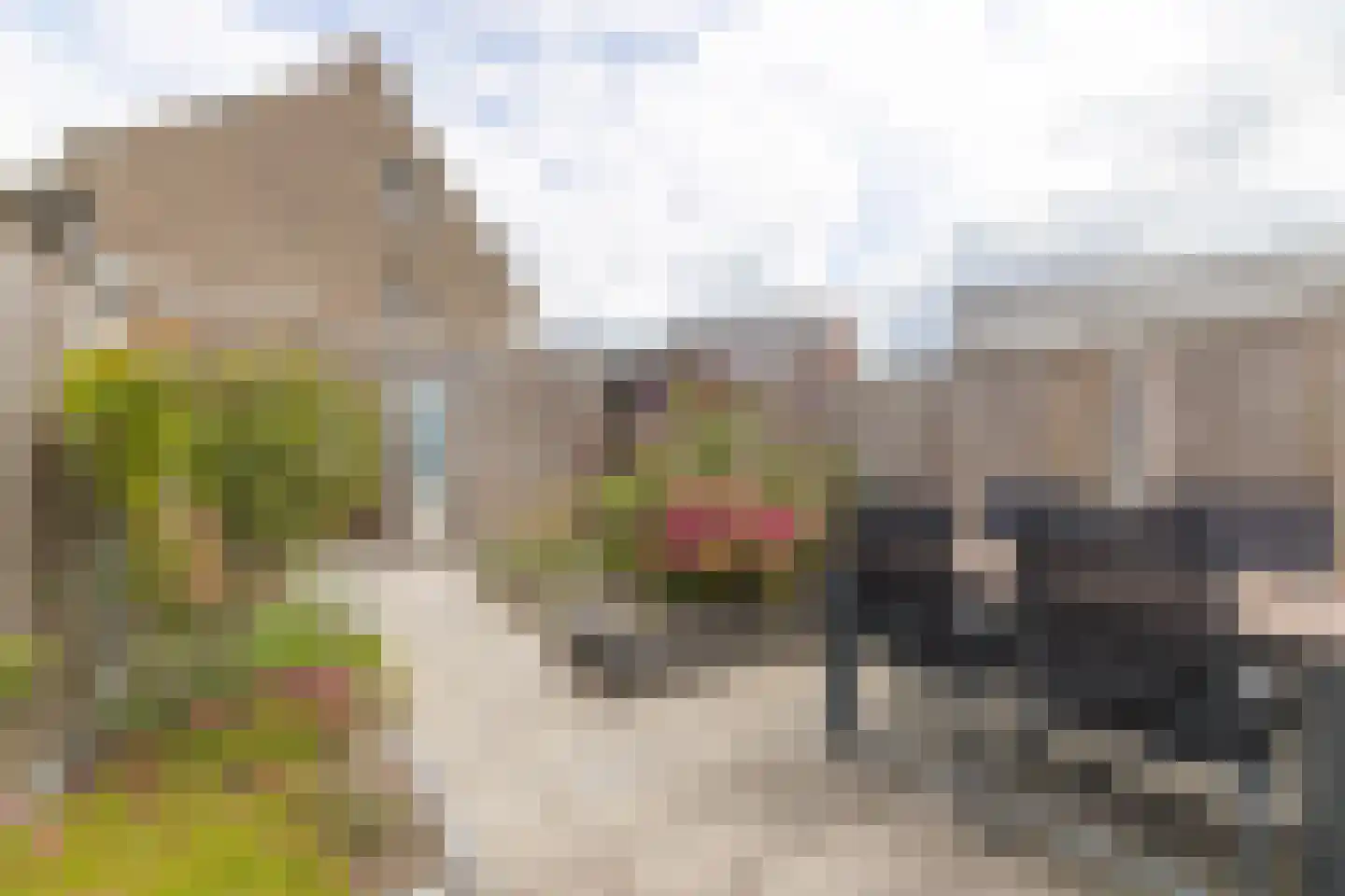 De Oogst 6 Zundert thumbnail 33