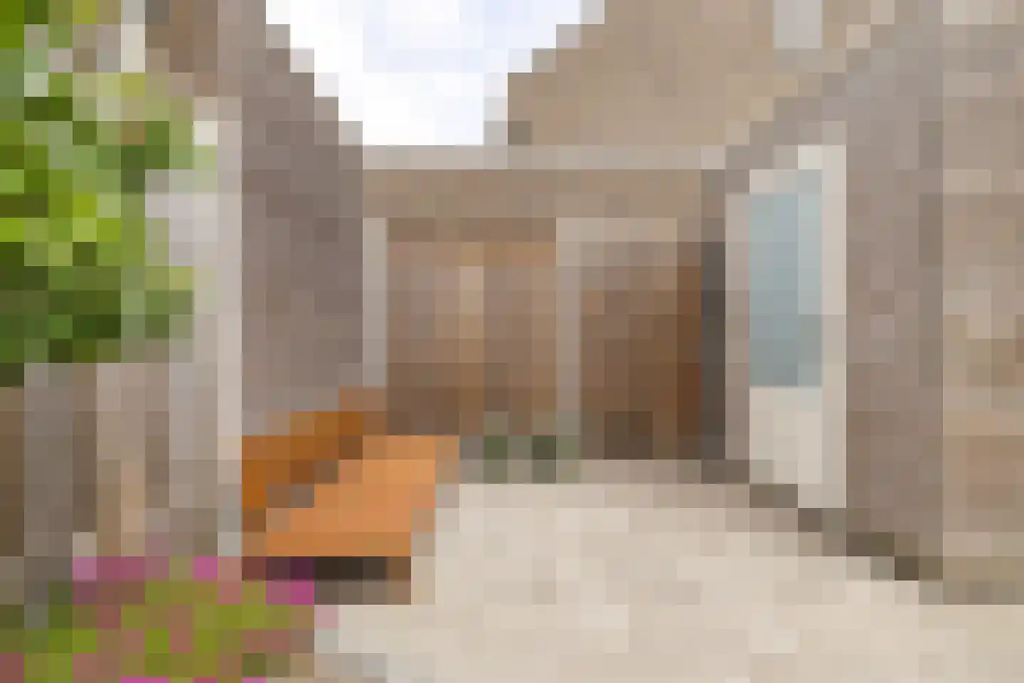 De Oogst 6 Zundert thumbnail 5