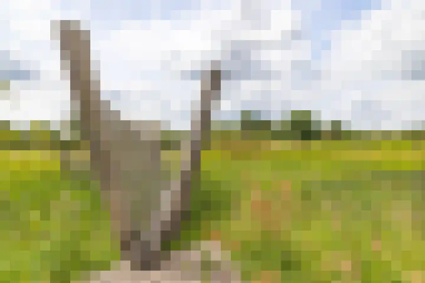 De Oogst 6 Zundert thumbnail 7