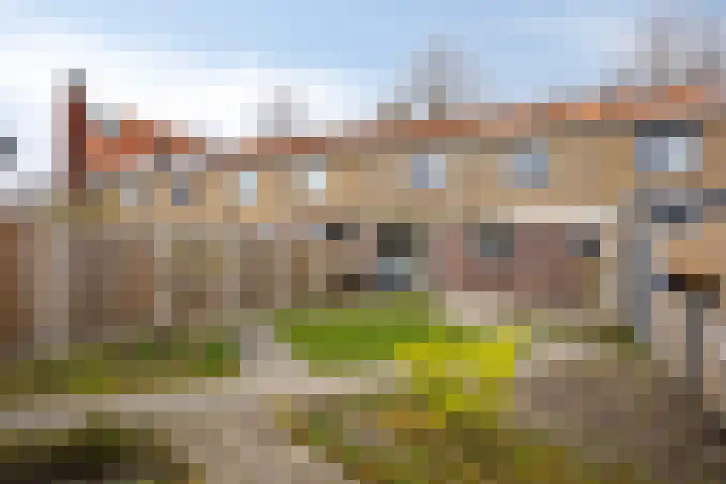 De Oost 12 Dronten thumbnail 25