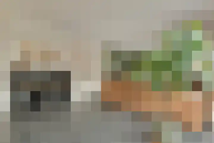 De Ooster Esch 12 Gramsbergen thumbnail 17