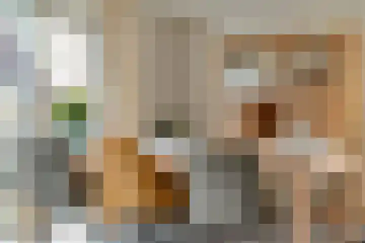 De Ooster Esch 12 Gramsbergen thumbnail 21