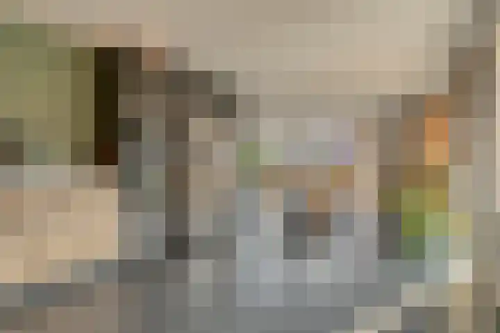 De Ooster Esch 12 Gramsbergen thumbnail 24