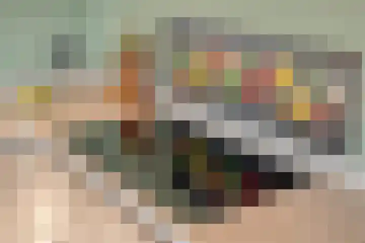 De Ooster Esch 12 Gramsbergen thumbnail 25