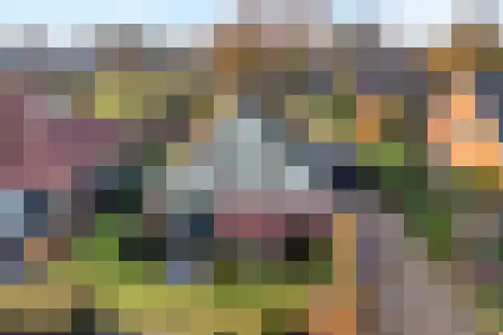 De Ooster Esch 12 Gramsbergen thumbnail 4
