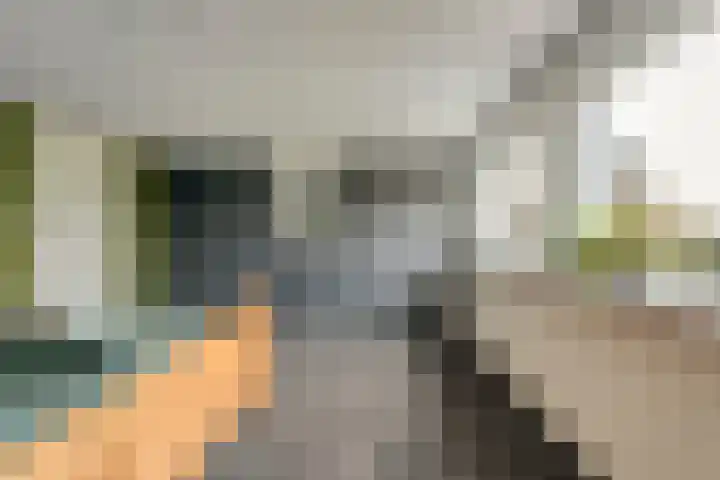 De Ooster Esch 12 Gramsbergen thumbnail 42