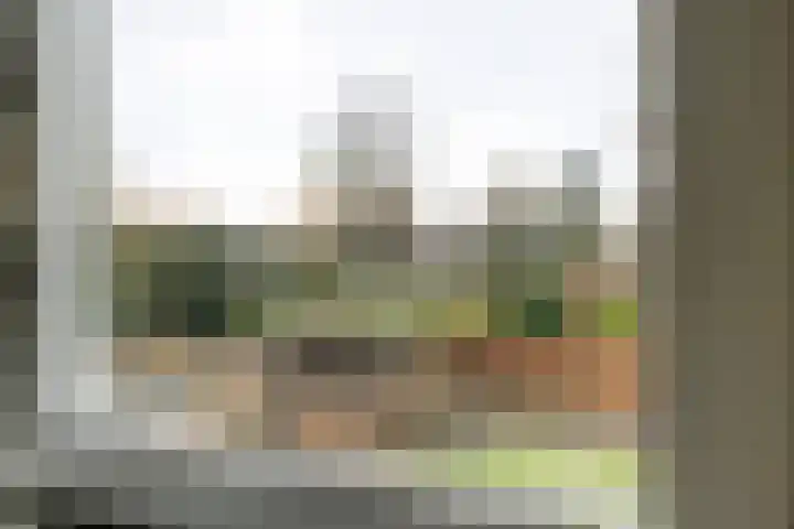 De Ooster Esch 12 Gramsbergen thumbnail 43