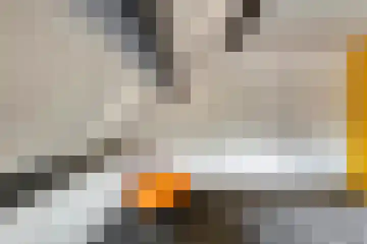 De Ooster Esch 12 Gramsbergen thumbnail 45