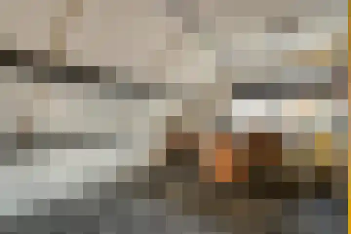 De Ooster Esch 12 Gramsbergen thumbnail 46