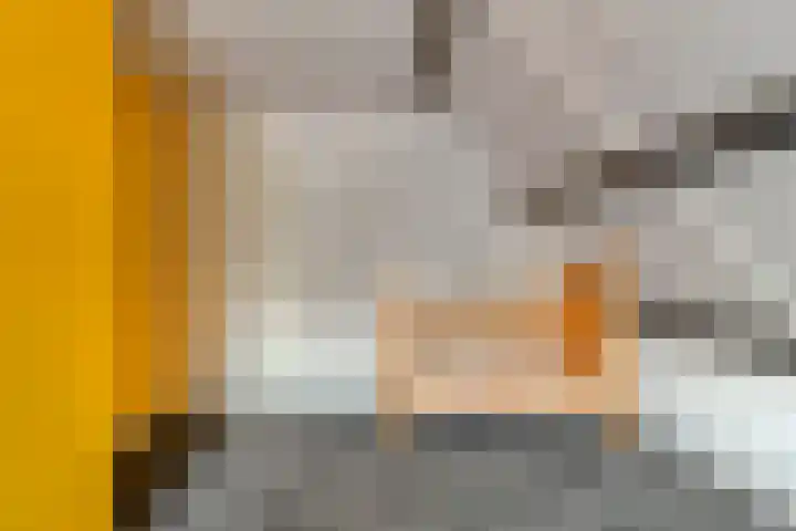 De Ooster Esch 12 Gramsbergen thumbnail 47