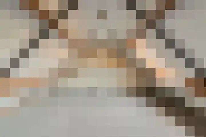 De Ooster Esch 12 Gramsbergen thumbnail 54