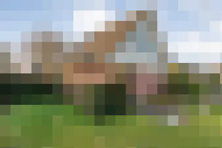 De Ooster Esch 12 Gramsbergen thumbnail 56