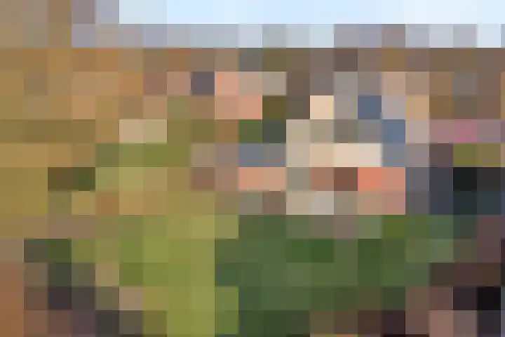 De Ooster Esch 12 Gramsbergen thumbnail 57