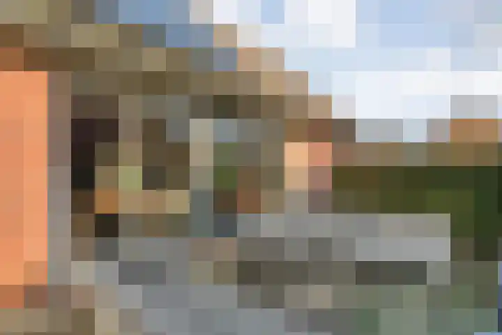De Ooster Esch 12 Gramsbergen thumbnail 58