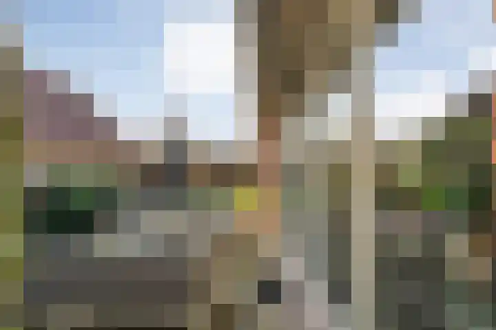 De Ooster Esch 12 Gramsbergen thumbnail 59