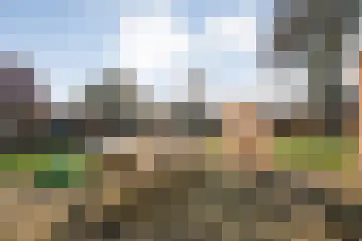 De Ooster Esch 12 Gramsbergen thumbnail 61