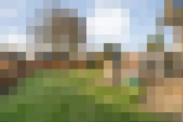 De Ooster Esch 12 Gramsbergen thumbnail 62