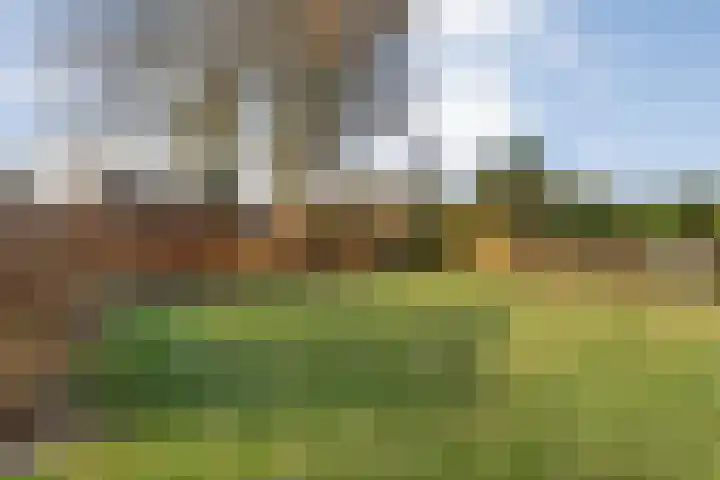 De Ooster Esch 12 Gramsbergen thumbnail 63