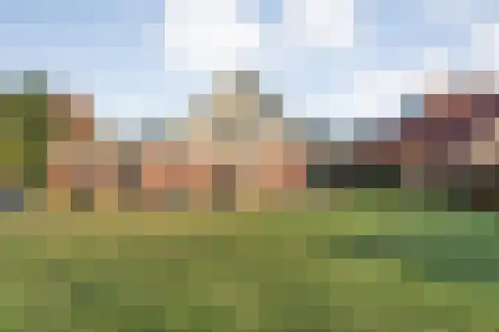De Ooster Esch 12 Gramsbergen thumbnail 64