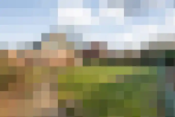 De Ooster Esch 12 Gramsbergen thumbnail 65