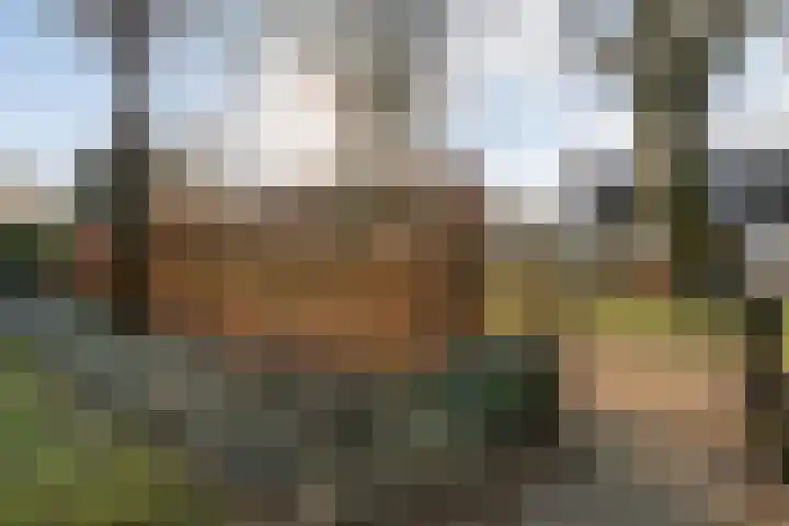 De Ooster Esch 12 Gramsbergen thumbnail 66