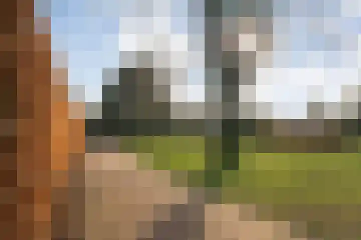 De Ooster Esch 12 Gramsbergen thumbnail 67