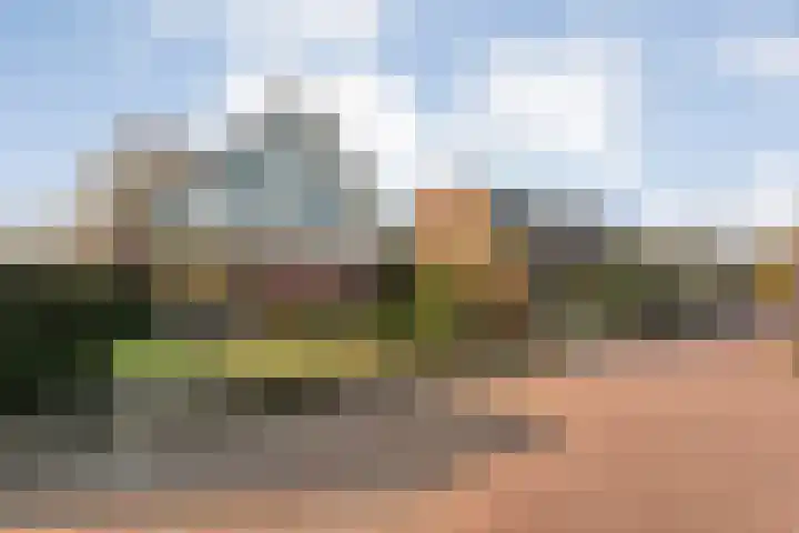 De Ooster Esch 12 Gramsbergen thumbnail 68